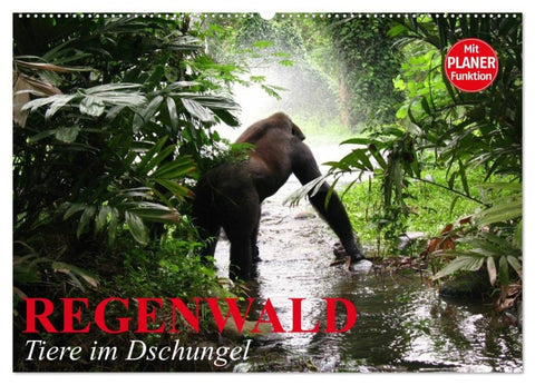 Regenwald. Tiere im Dschungel (Wandkalender 2027 DIN A2 quer), CALVENDO Monatskalender