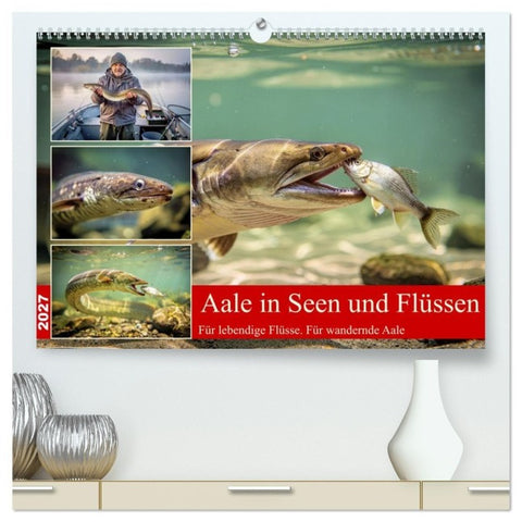 Aale in Seen und Flüssen (hochwertiger Premium Wandkalender 2027 DIN A2 quer), Kunstdruck in Hochglanz