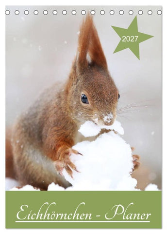Eichhörnchen - Planer (Tischkalender 2027 DIN A5 hoch), CALVENDO Monatskalender