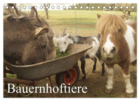 Bauernhoftiere (Tischkalender 2027 DIN A5 quer), CALVENDO Monatskalender