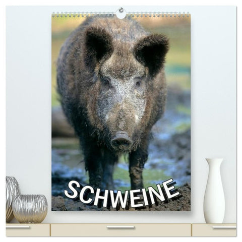 Schweine 2026 (hochwertiger Premium Wandkalender 2026 DIN A2 hoch), Kunstdruck in Hochglanz