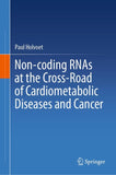 Non-coding RNAs at the Cross-Road of Cardiometabolic Diseases and Cancer