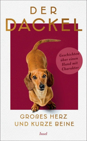 Der Dackel. Großes Herz und kurze Beine.