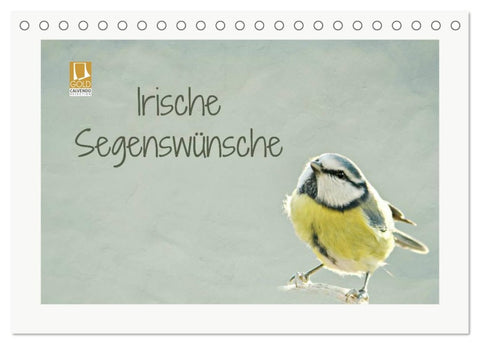 Irische Segenswünsche (Tischkalender 2026 DIN A5 quer), CALVENDO Monatskalender