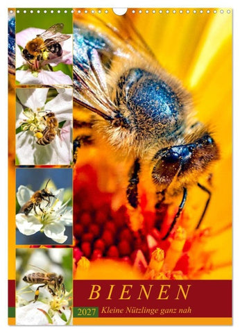BIENEN - Kleine Nützlinge ganz nah (Wandkalender 2027 DIN A3 hoch), CALVENDO Monatskalender