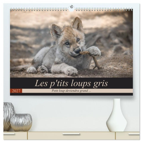 Les p'tits loups gris (Calendrier mural haut de gamme 2027 DIN A2 vertical), CALVENDO calendrier mensuel