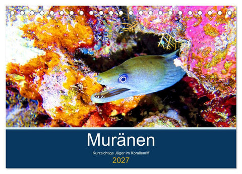 Muränen - Kurzsichtige Jäger im Korallenriff (Tischkalender 2027 DIN A5 quer), CALVENDO Monatskalender