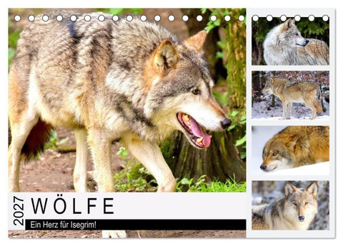 Wölfe. Ein Herz für Isegrim! (Tischkalender 2027 DIN A5 quer), CALVENDO Monatskalender