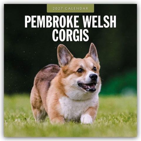 Pembroke Welsh Corgis – Pembroke Welsh Corgi 2027 – 16-Monatskalender