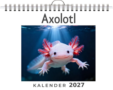 Axolotl
