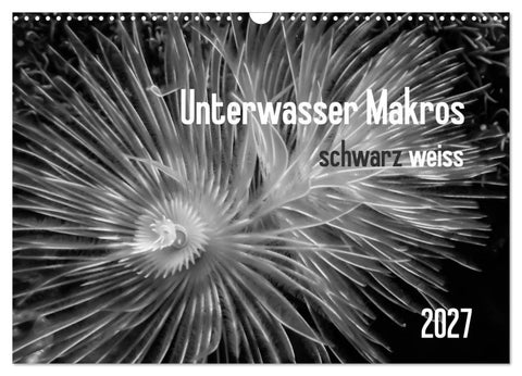 Unterwasser Makros - schwarz weiss 2027 (Wandkalender 2027 DIN A3 quer), CALVENDO Monatskalender