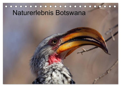 Naturerlebnis Botswana (Tischkalender 2026 DIN A5 quer), CALVENDO Monatskalender