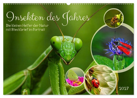 Insekt des Jahres (Wandkalender 2027 DIN A2 quer), CALVENDO Monatskalender