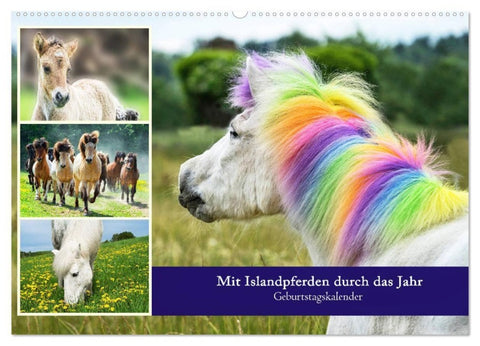 Mit Islandpferden durch das Jahr Geburtstagskalender (Wandkalender 2027 DIN A2 quer), CALVENDO Monatskalender