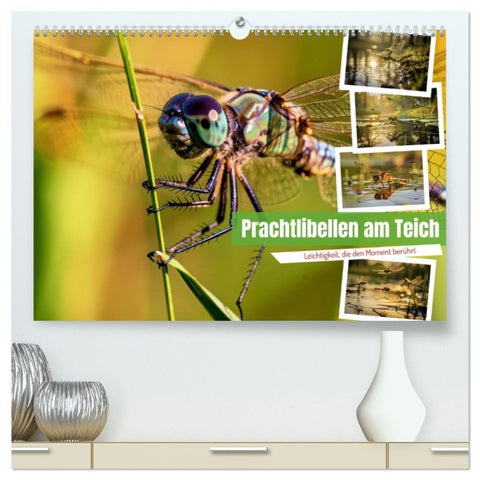 Prachtlibellen am Teich (hochwertiger Premium Wandkalender 2027 DIN A2 quer), Kunstdruck in Hochglanz