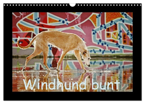 Windhund bunt (Wandkalender 2027 DIN A3 quer), CALVENDO Monatskalender