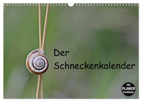 Der Schneckenkalender (Wandkalender 2027 DIN A3 quer), CALVENDO Monatskalender
