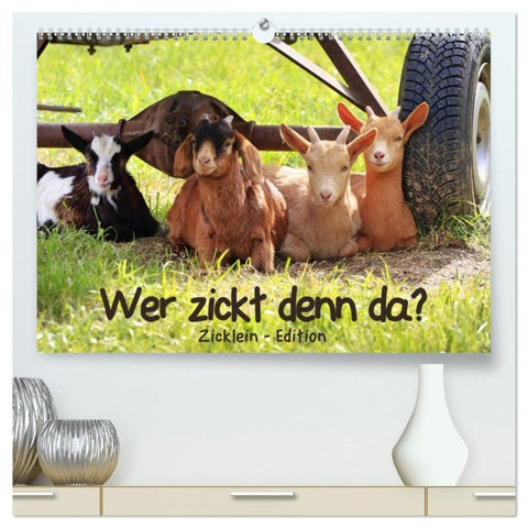 Wer zickt denn da? - Zicklein-Edition (hochwertiger Premium Wandkalender 2027 DIN A2 quer), Kunstdruck in Hochglanz