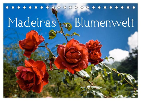 Madeiras Blumenwelt (Tischkalender 2027 DIN A5 quer), CALVENDO Monatskalender