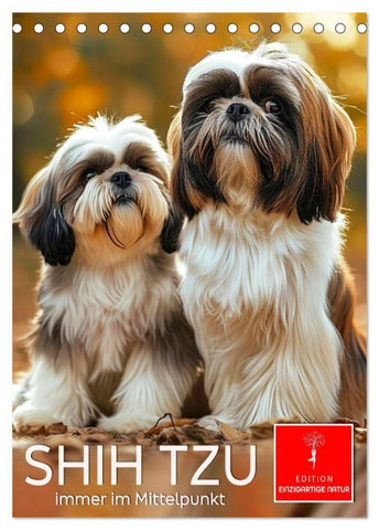 Shih Tzu - immer im Mittelpunkt (Tischkalender 2027 DIN A5 hoch), CALVENDO Monatskalender
