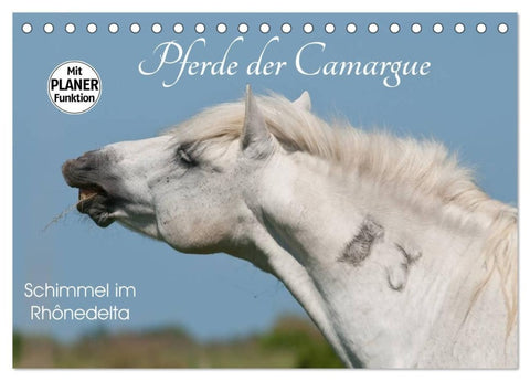 Pferde der Camargue - Schimmel im Rhônedelta (Tischkalender 2027 DIN A5 quer), CALVENDO Monatskalender