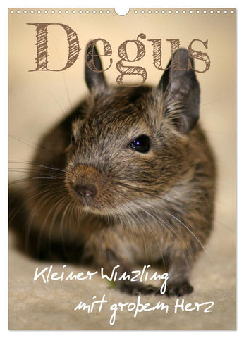 Degus - Winzlinge mit großem Herz (Wandkalender 2027 DIN A3 hoch), CALVENDO Monatskalender