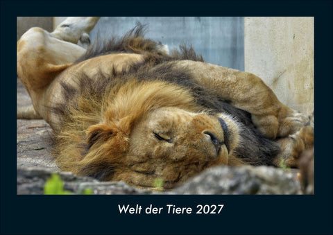 Welt der Tiere 2027 Fotokalender DIN A4