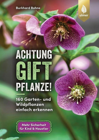 Achtung, Giftpflanze