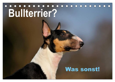 Bullterrier? Was sonst! (Tischkalender 2026 DIN A5 quer), CALVENDO Monatskalender