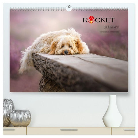Rocket der Havaneser (hochwertiger Premium Wandkalender 2027 DIN A2 quer), Kunstdruck in Hochglanz