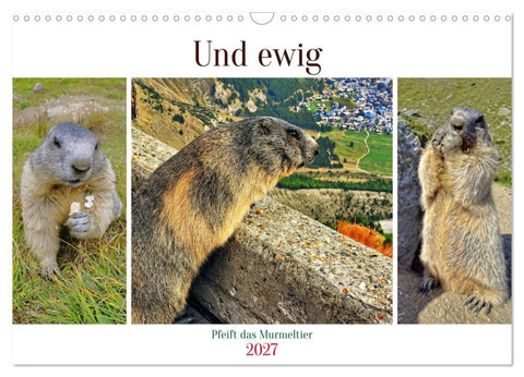 Und ewig pfeift das Murmeltier (Wandkalender 2027 DIN A3 quer), CALVENDO Monatskalender