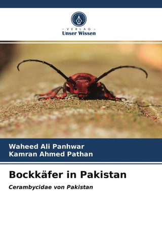 Bockkäfer in Pakistan