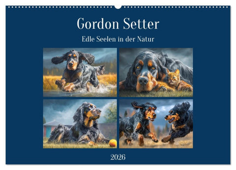 Gordon Setter. Edle Seelen in der Natur (Wandkalender 2026 DIN A2 quer), CALVENDO Monatskalender