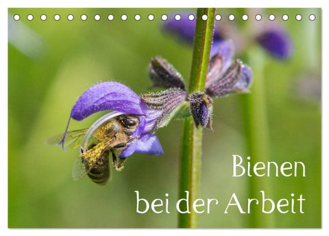 Bienen bei der Arbeit (Tischkalender 2027 DIN A5 quer), CALVENDO Monatskalender