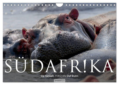 Südafrika - Die Tierwelt (Wandkalender 2027 DIN A4 quer), CALVENDO Monatskalender