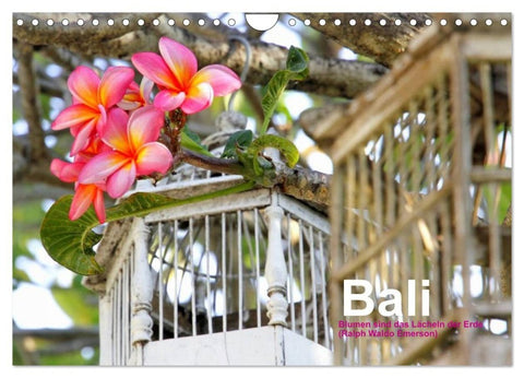 Bali (Wandkalender 2027 DIN A4 quer), CALVENDO Monatskalender