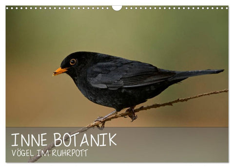 INNE BOTANIK - Vögel im Ruhrpott (Wandkalender 2026 DIN A3 quer), CALVENDO Monatskalender