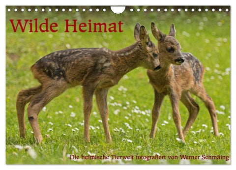 Wilde Heimat (Wandkalender 2027 DIN A4 quer), CALVENDO Monatskalender