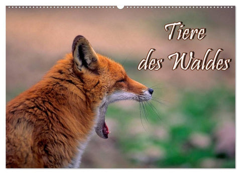Tiere des Waldes (Wandkalender 2027 DIN A2 quer), CALVENDO Monatskalender