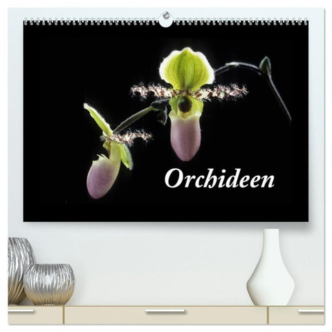 Orchideen 2027 (hochwertiger Premium Wandkalender 2027 DIN A2 quer), Kunstdruck in Hochglanz