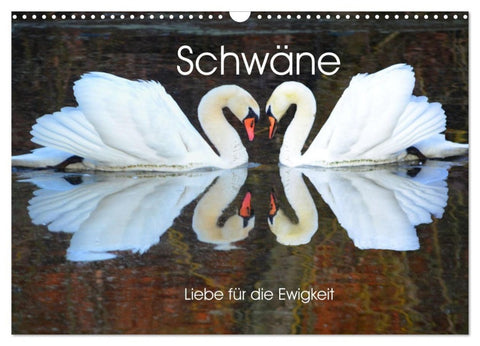 Schwäne, Liebe für die Ewigkeit (Wandkalender 2027 DIN A3 quer), CALVENDO Monatskalender