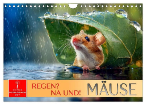 Regen? Na und! Mäuse (Wandkalender 2027 DIN A4 quer), CALVENDO Monatskalender