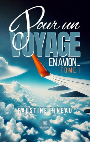 Pour un voyage en avion...