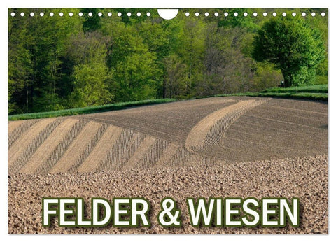 Felder und Wiesen (Wandkalender 2027 DIN A4 quer), CALVENDO Monatskalender