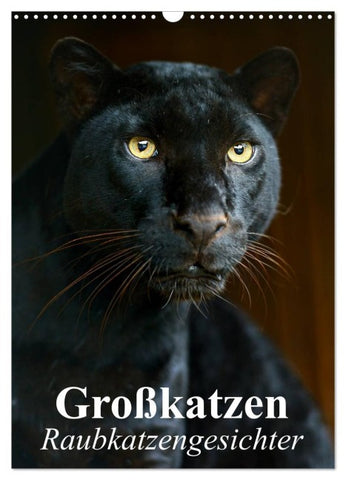 Großkatzen. Raubkatzengesichter (Wandkalender 2026 DIN A3 hoch), CALVENDO Monatskalender