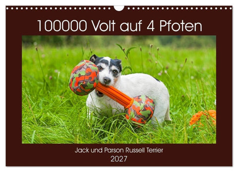 100000 Volt auf vier Pfoten - Jack und Parson Russell Terrier (Wandkalender 2027 DIN A3 quer), CALVENDO Monatskalender