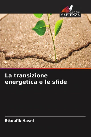 La transizione energetica e le sfide