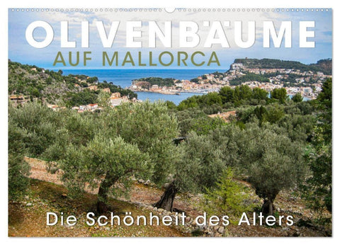 Olivenbäume auf Mallorca - Die Schönheit des Alters (Wandkalender 2027 DIN A2 quer), CALVENDO Monatskalender