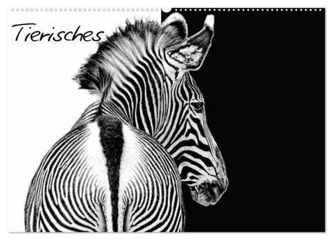 Tierisches (Wandkalender 2027 DIN A2 quer), CALVENDO Monatskalender