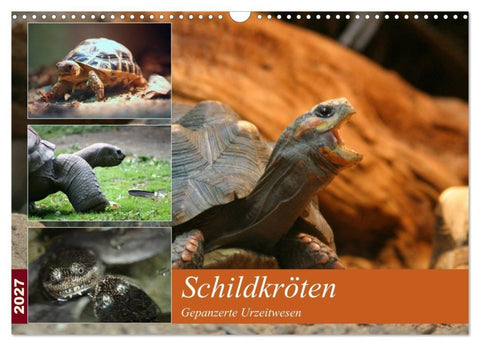 Schildkröten - Gepanzerte Urzeitwesen (Wandkalender 2027 DIN A3 quer), CALVENDO Monatskalender